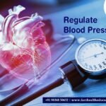 Top Methods to Regulate Blood Pressure