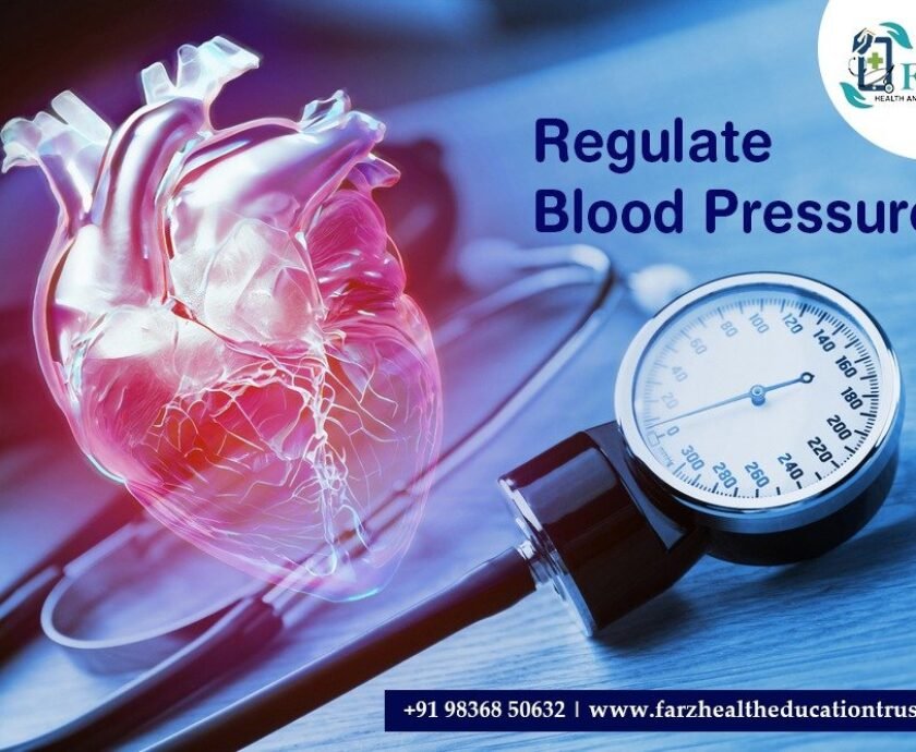 A medical image of a heart model and a blood pressure monitor, highlighting the concept of regulating blood pressure.